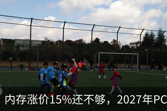 内存涨价15%还不够，2027年PC内存可能更难买