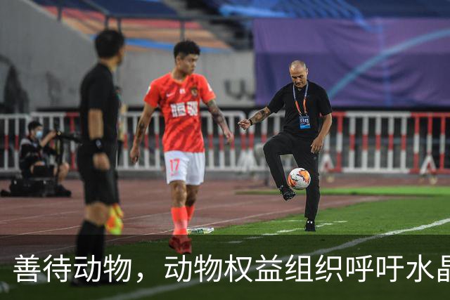 善待动物，动物权益组织呼吁水晶宫弃用活体吉祥物白头海雕凤凰