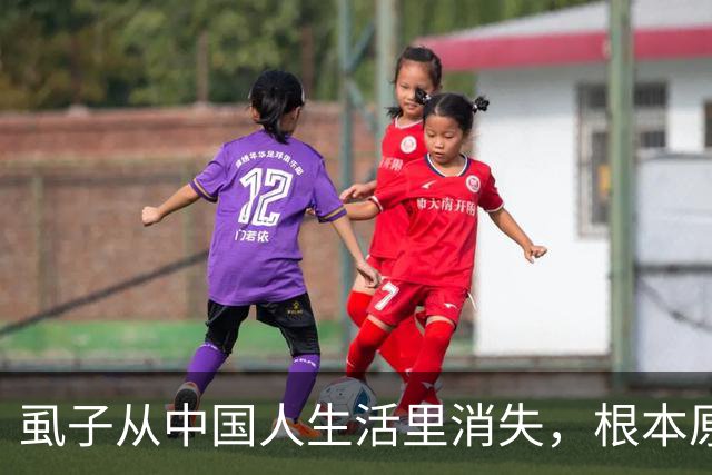 虱子从中国人生活里消失，根本原因不是爱干净，真相让人傻眼